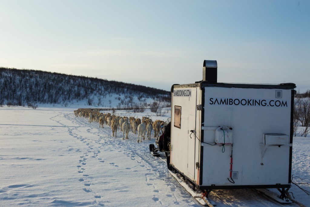 Mixed business in Guovdageaidnu: Reindeers, snowmobiles and creative industries. Photo: Roger Manndal