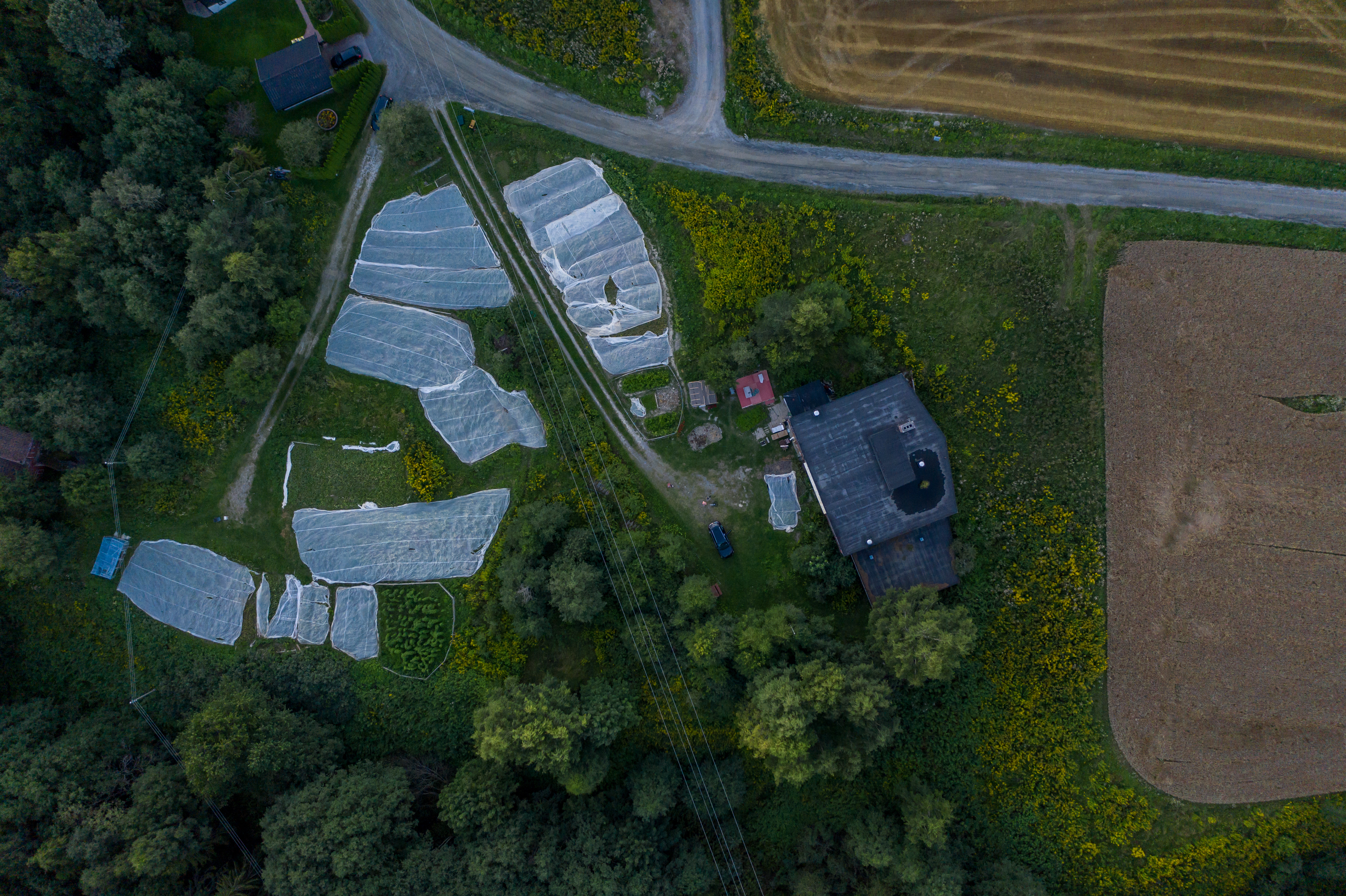 Konkurransetomten Hjertelia i Ringerike